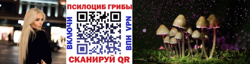 Галлюциногенные грибы Psilocybe  хочу наркоту  Красный Холм 